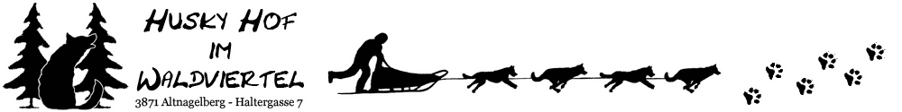 Huskyhof im Waldviertel – Husky Ausfahrt – Schlittenhunde Tour